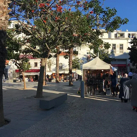 Terras Novas